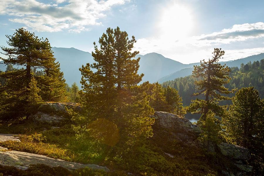 Natur Qualität Zertifikat Loigoma